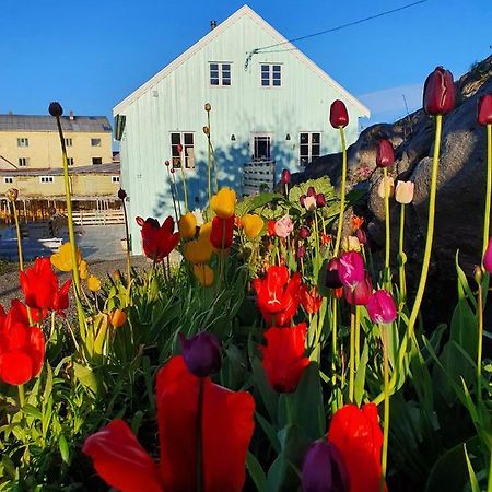 Lysvoldbrygga Bed and Breakfast Henningsvær Buitenkant foto