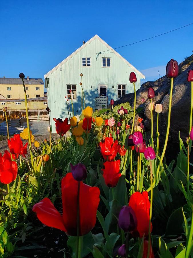 Lysvoldbrygga Bed and Breakfast Henningsvær Buitenkant foto