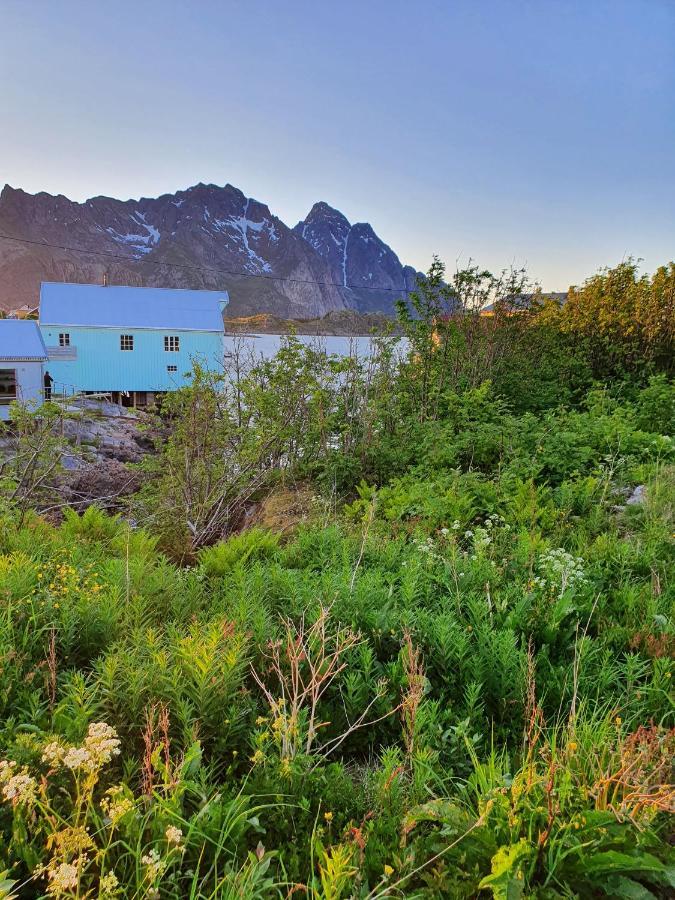 Lysvoldbrygga Bed and Breakfast Henningsvær Buitenkant foto